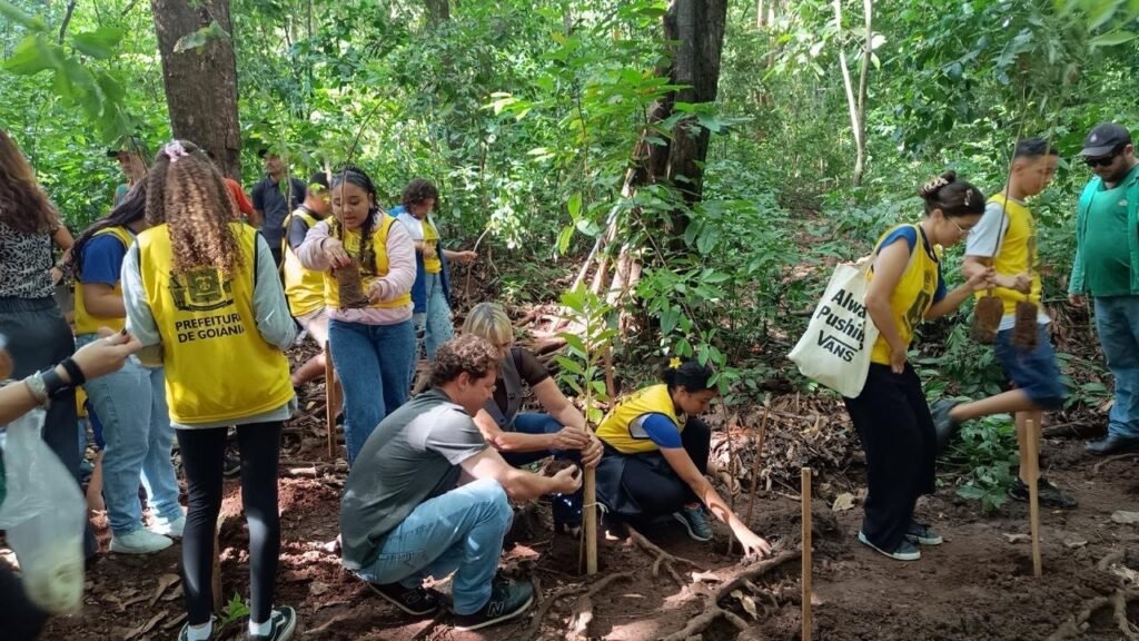 Preparo de mudas de árvores pela Amma para plantio em Goiânia