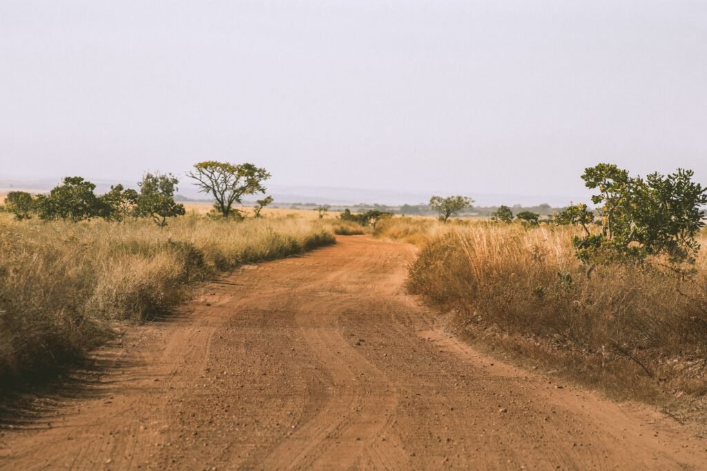 Estrada de terra atravessa paisagem do Cerrado com capim seco e árvores retorcidas em Cristalina, Goiás