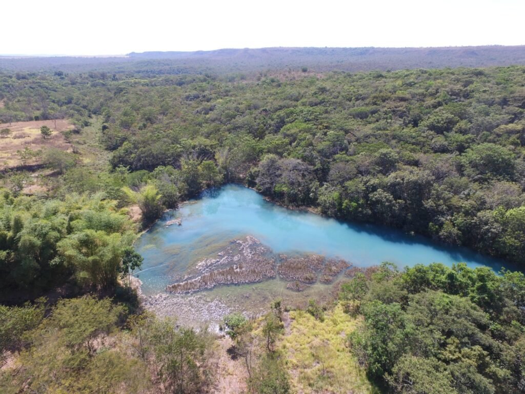 Paisagem de água e Cerrado em imagem de divulgação do livro Araguaia, o Grande Rio