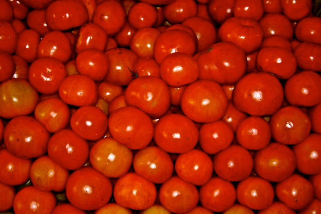 Tomates vermelhos amontoados em banca de feira; preço do tomate subiu 32,59% em um mês em Goiânia, segundo o IPCA-15 do IBGE