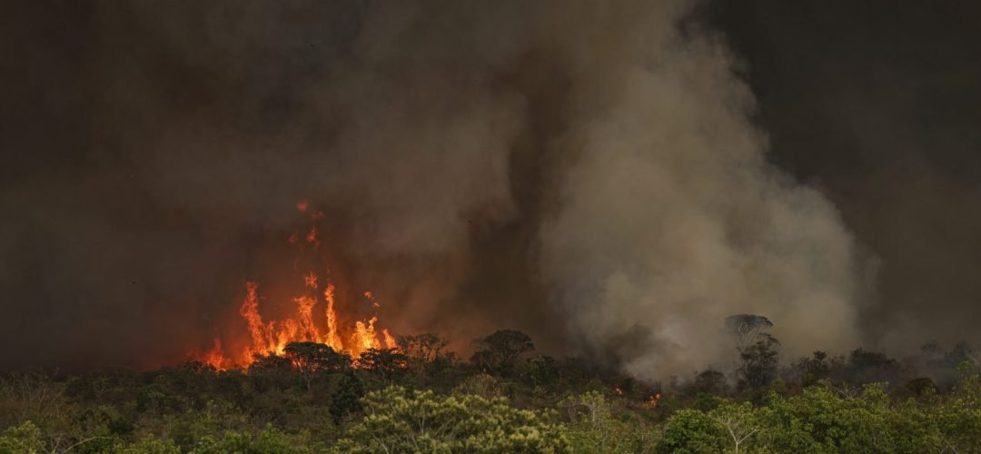 queimada